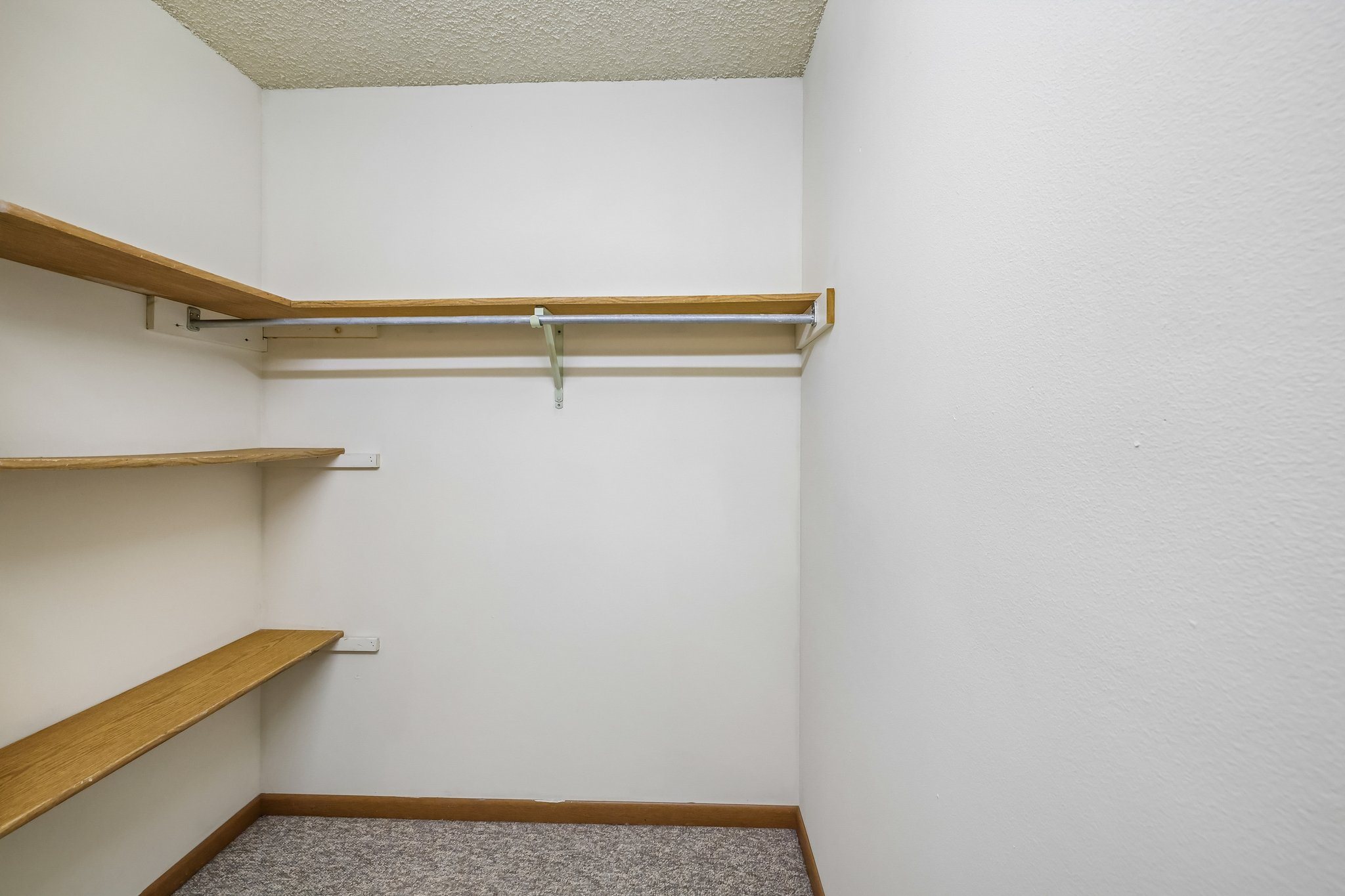 Gallery Photo 13
